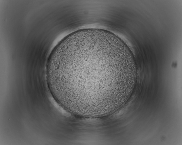 X0000092280998200710121400