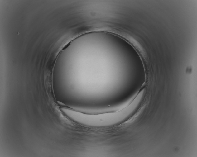 X0000092281001200710121400