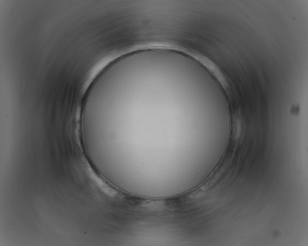 X0000092281006200710121400