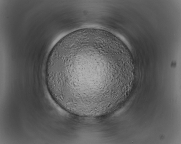 X0000092281007200710121400