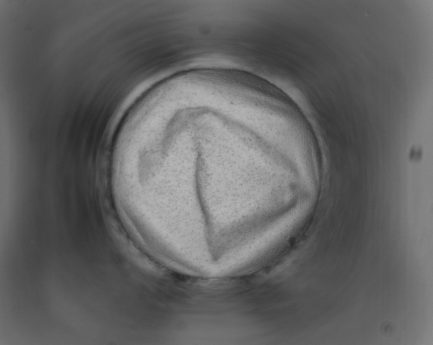 X0000092281008200710121400