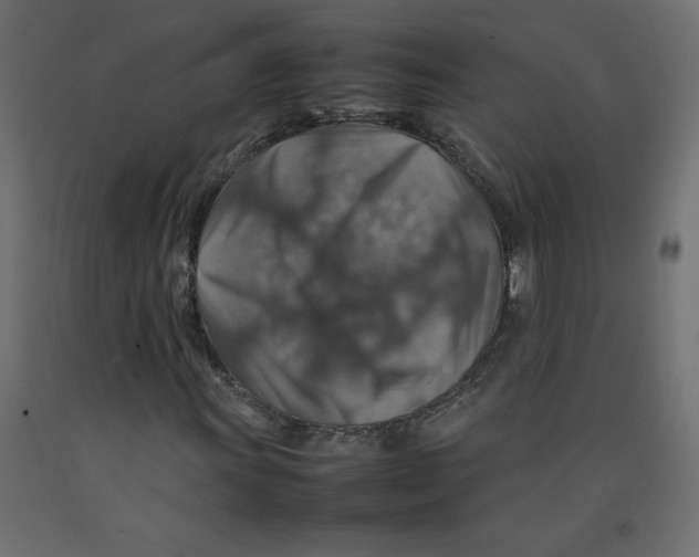 X0000092281011200710121359