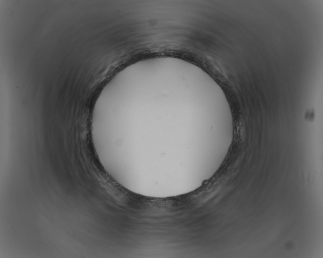 X0000092281012200710121359