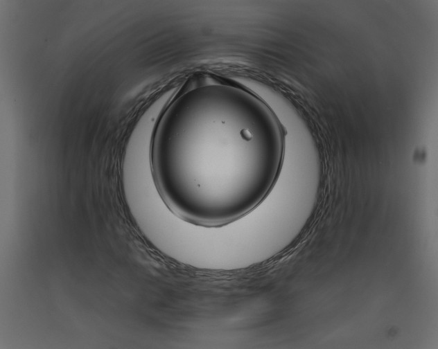 X0000092281014200710121359