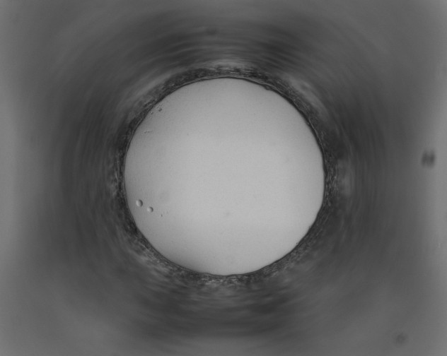 X0000092281015200710121359