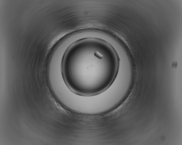 X0000092281018200710121359