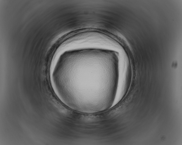 X0000092281019200710121359