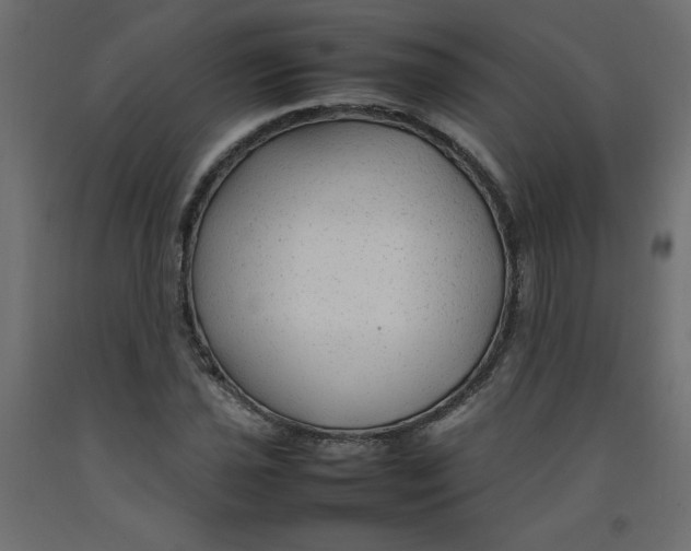 X0000092281021200710121359