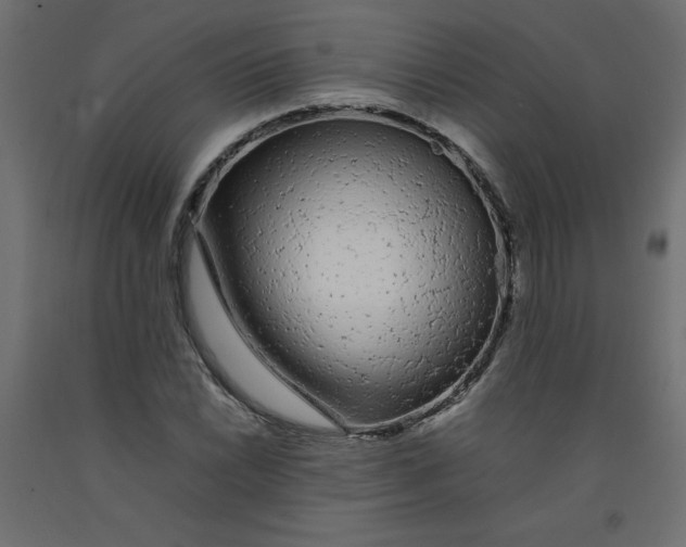X0000092281022200710121359