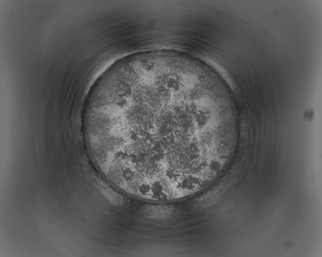 X0000092281023200710121359