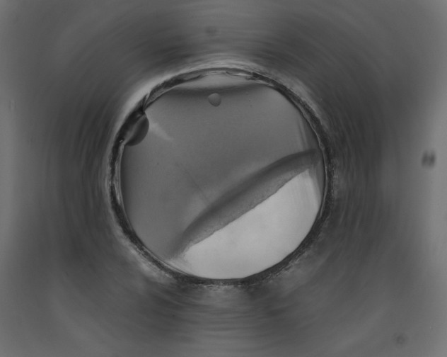 X0000092281024200710121359