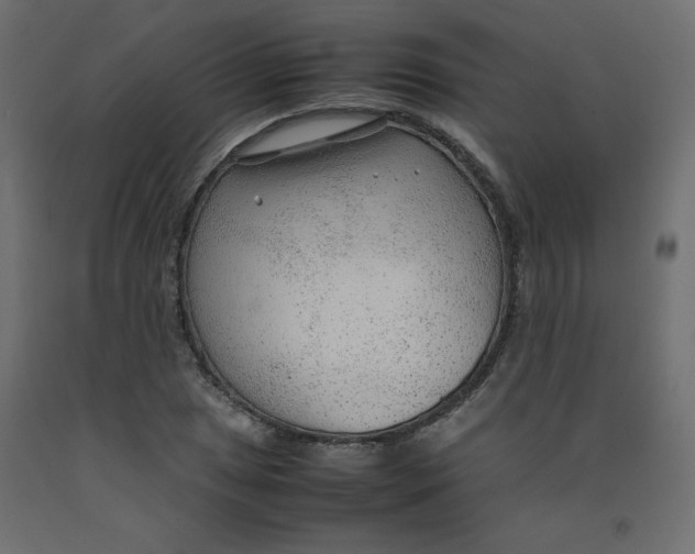 X0000092281025200710121359