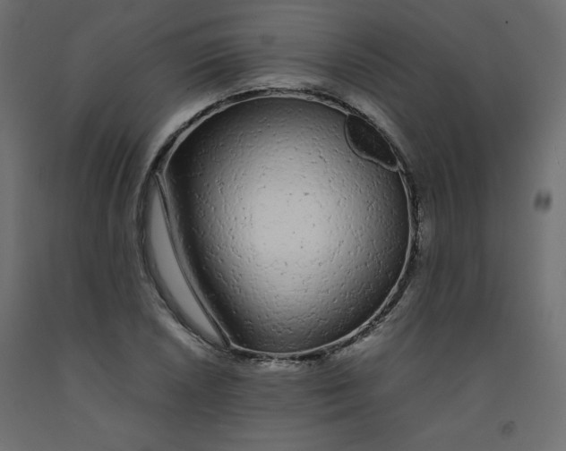 X0000092281026200710121359