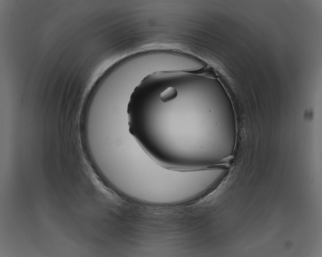X0000092281030200710121400
