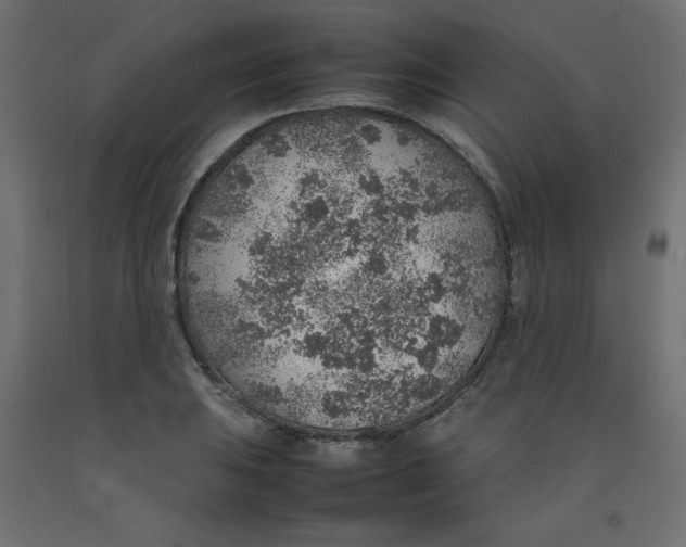 X0000092281031200710121400