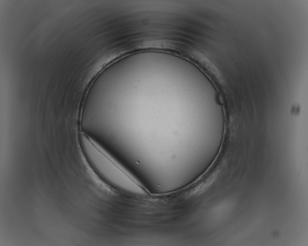 X0000092281033200710121400