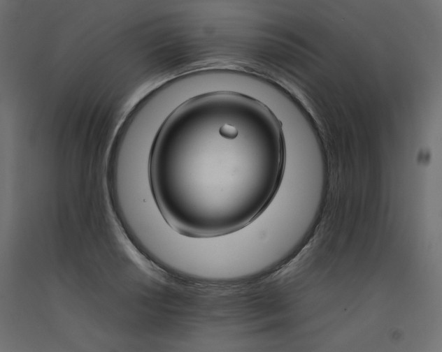 X0000092281034200710121400