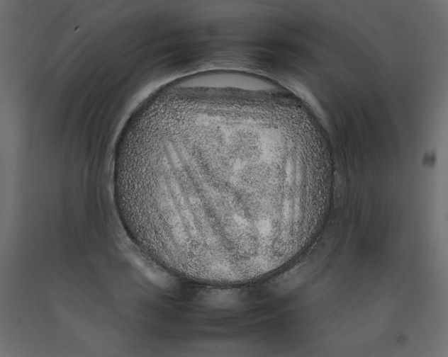 X0000092281035200710121400