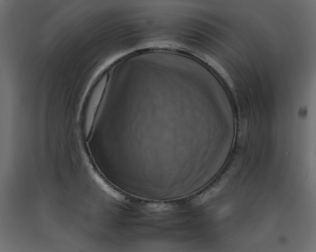 X0000092281037200710121400