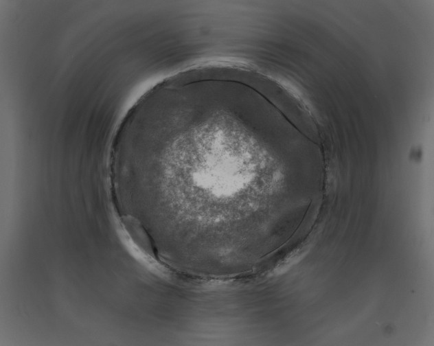 X0000092281038200710121400