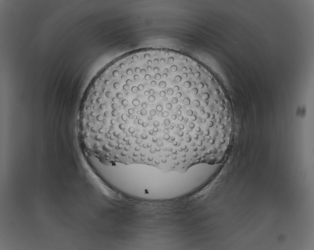 X0000092281040200710121400