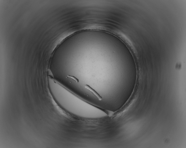 X0000092281041200710121400