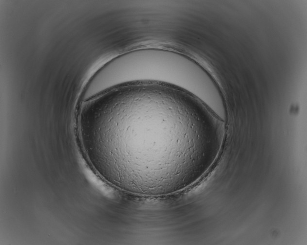 X0000092281042200710121400