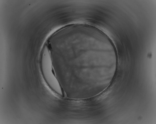 X0000092281045200710121400