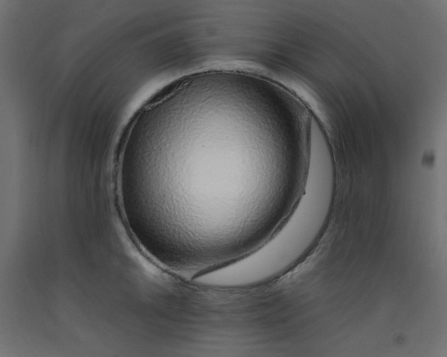 X0000092281046200710121400