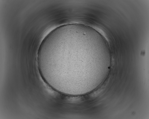 X0000092281047200710121400