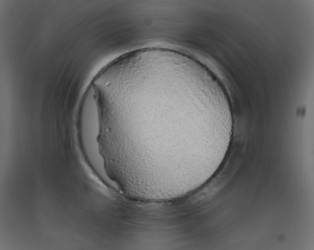 X0000092281048200710121400