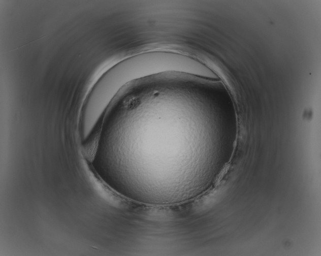 X0000092281050200710121400