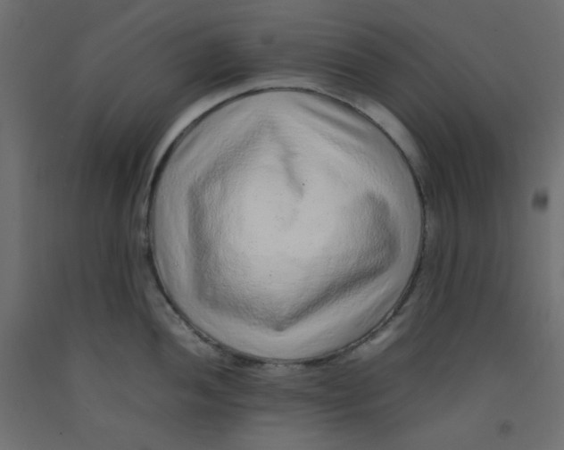 X0000092281052200710121400