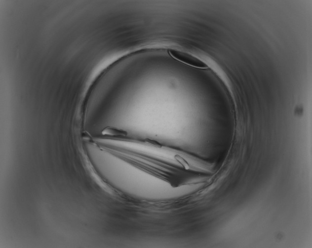X0000092281053200710121400