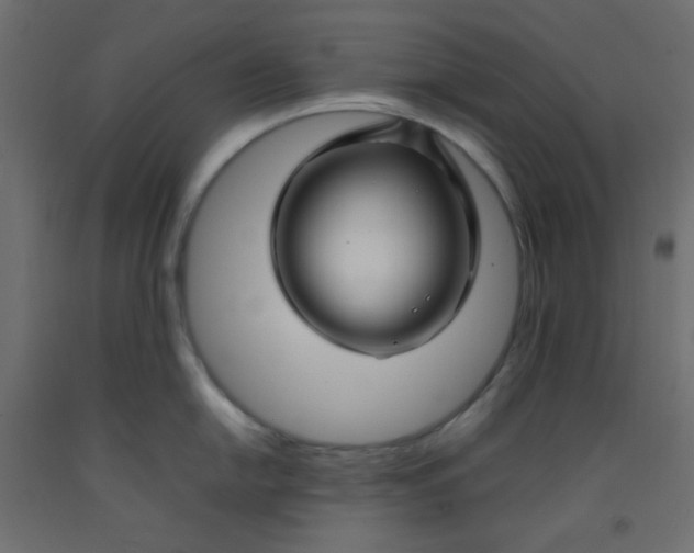 X0000092281054200710121400