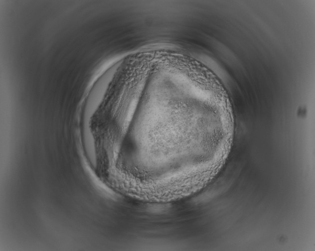 X0000092281055200710121400
