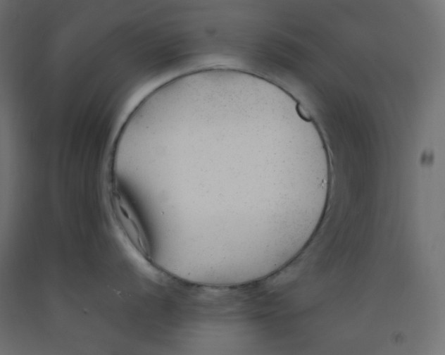 X0000092281056200710121400