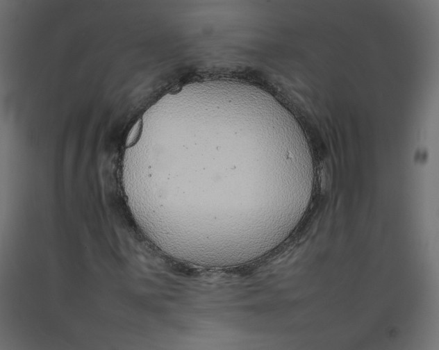 X0000092281059200710121359