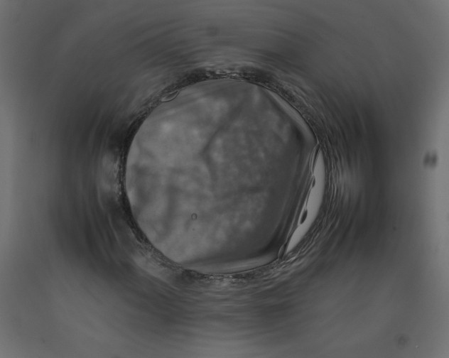 X0000092281060200710121359