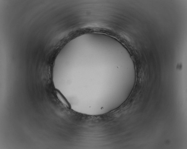 X0000092281062200710121359