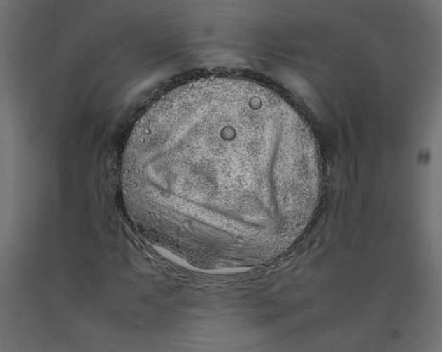 X0000092281063200710121359