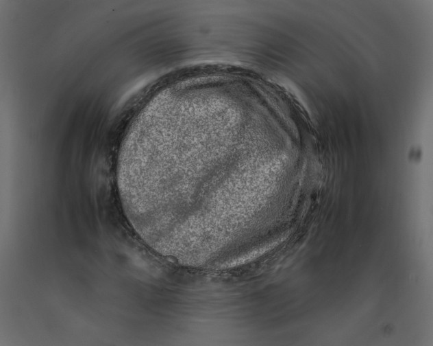 X0000092281064200710121359