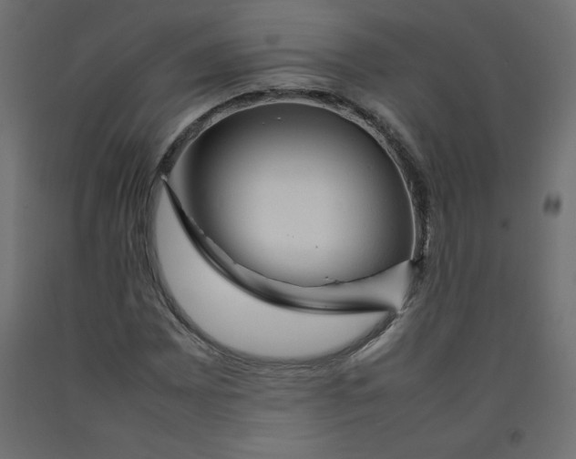 X0000092281065200710121359