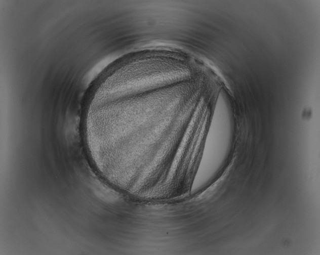 X0000092281066200710121359