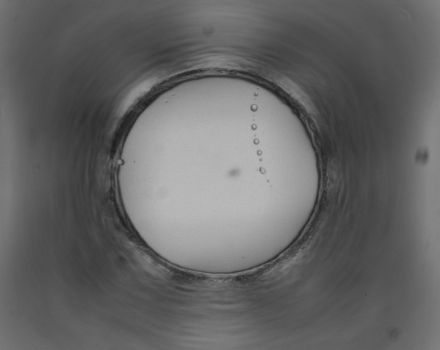 X0000092281067200710121359