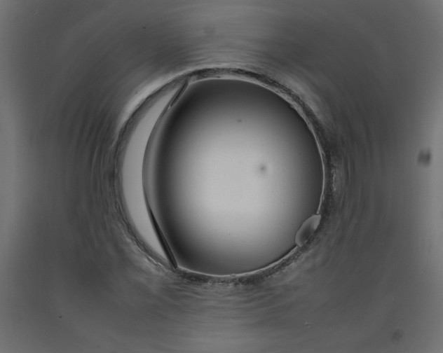 X0000092281069200710121359