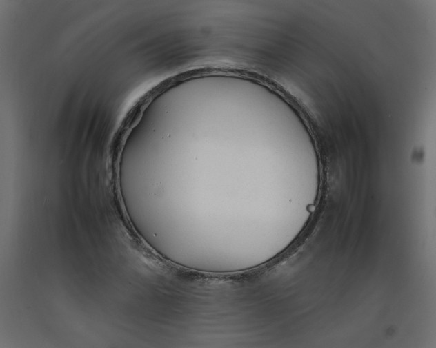 X0000092281070200710121359
