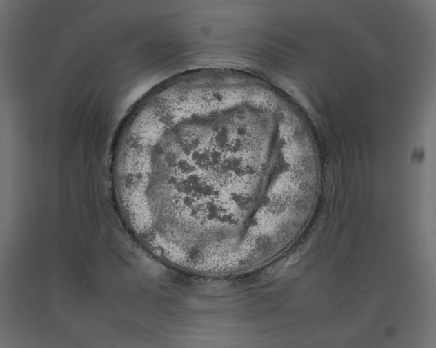 X0000092281071200710121359