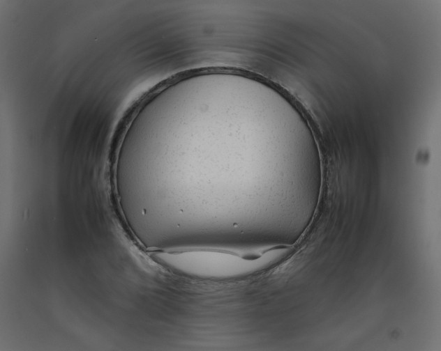 X0000092281072200710121359