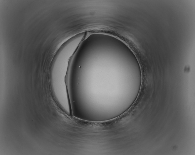 X0000092281073200710121359